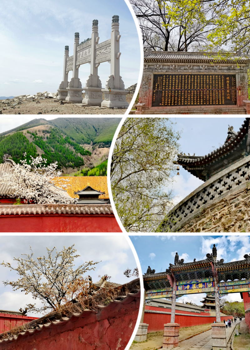 1721814087309828.jpg 1721814087309828.jpg