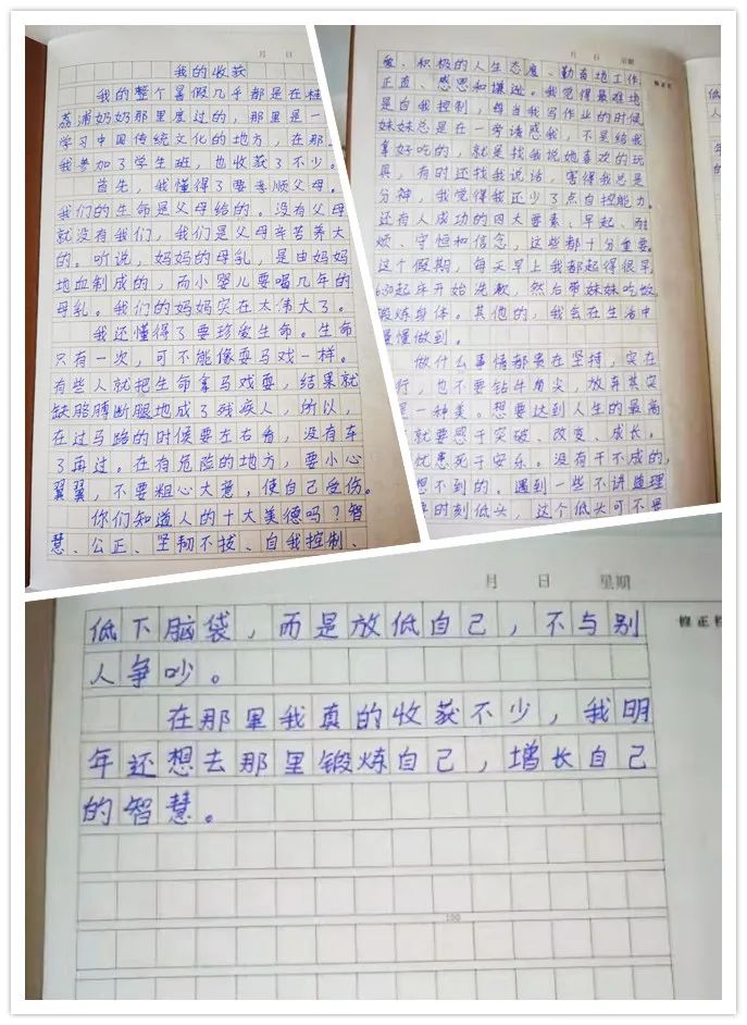 沒想到,這是9歲小女孩來爸媽在線學(xué)習(xí)的收獲!