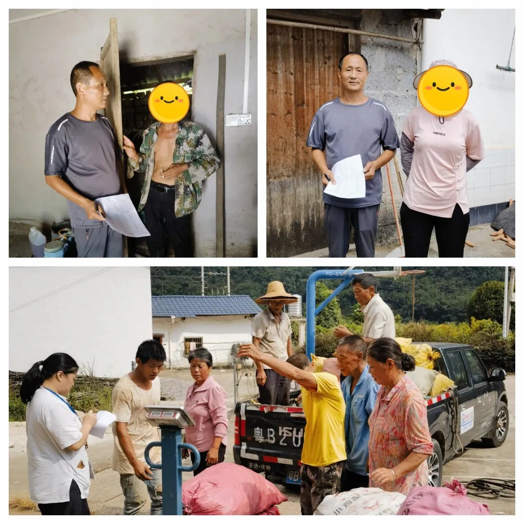 1728520877504892.jpg 1728520877504892.jpg