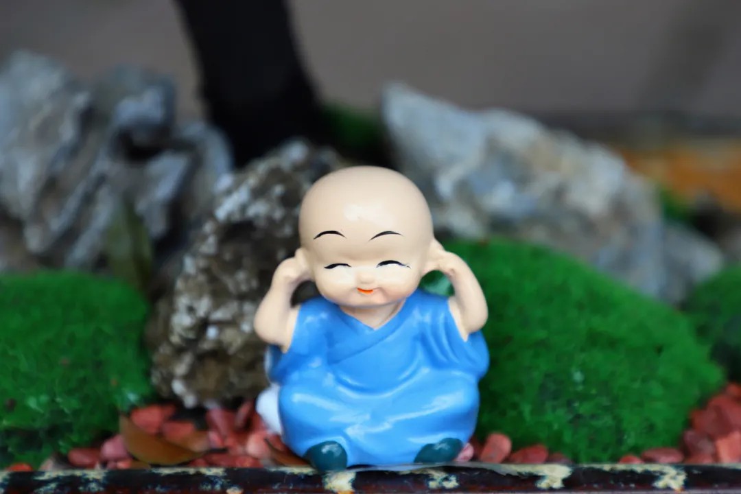 1729652910585875.jpg 1729652910585875.jpg