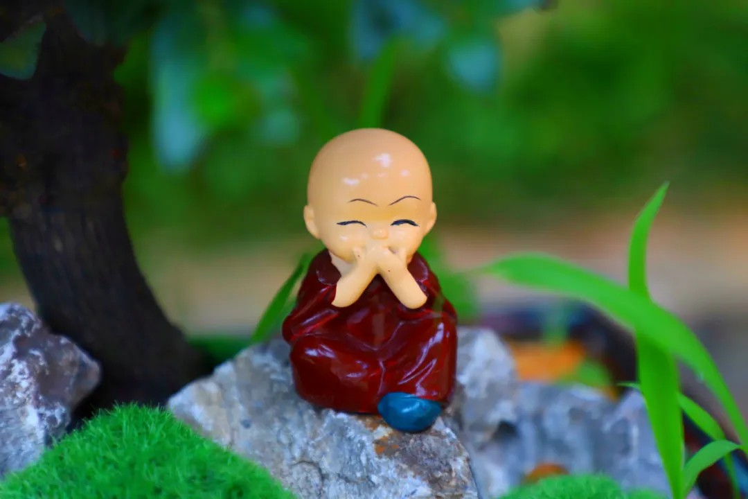 1729652940563002.jpg 1729652940563002.jpg