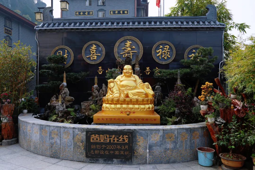 1747444389473349.jpg 1747444389473349.jpg