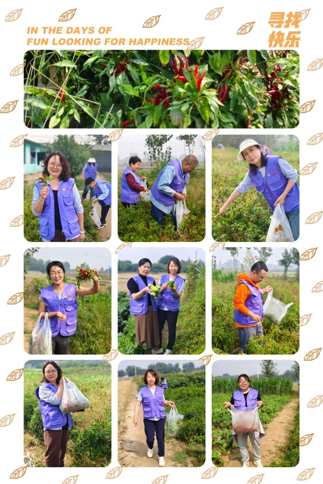 1760431546316713.jpg 1760431546316713.jpg